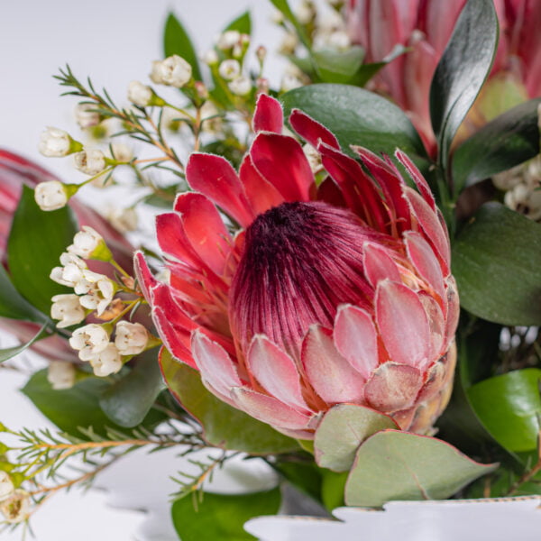 Protea Bay The Gorgeous Flower Company