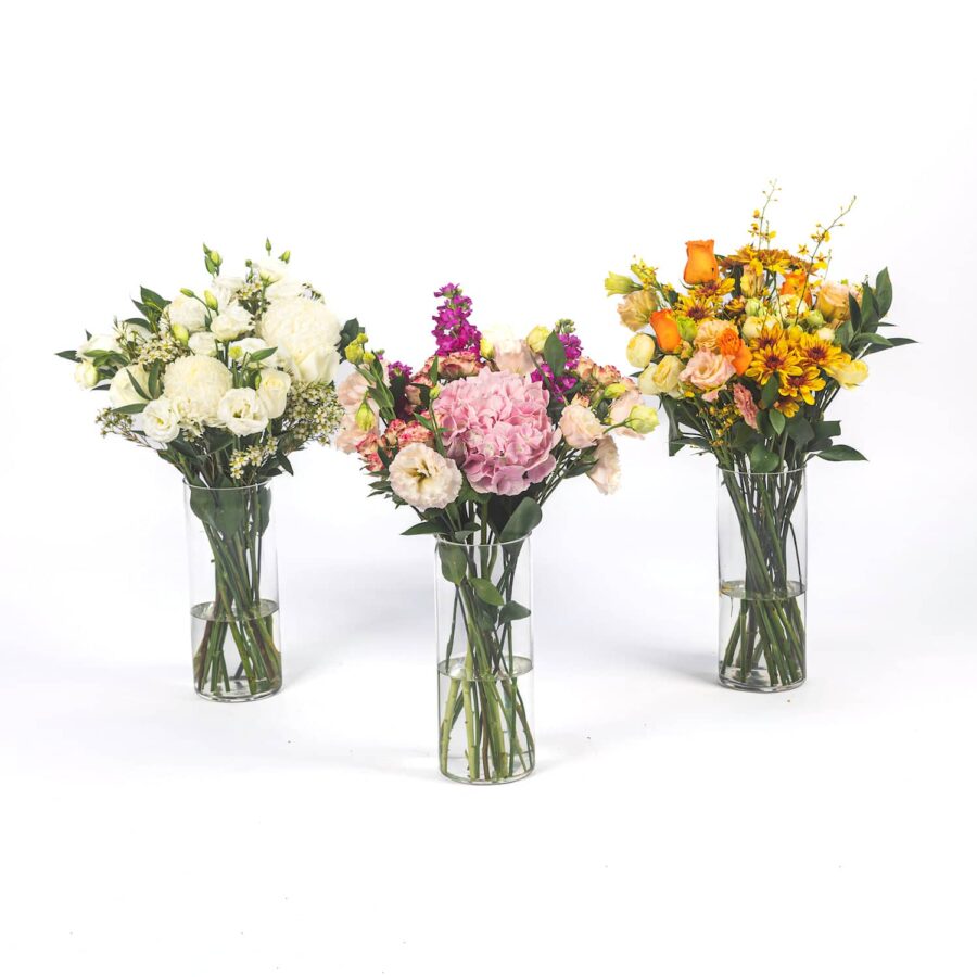 Extra Gorgeous Subscription