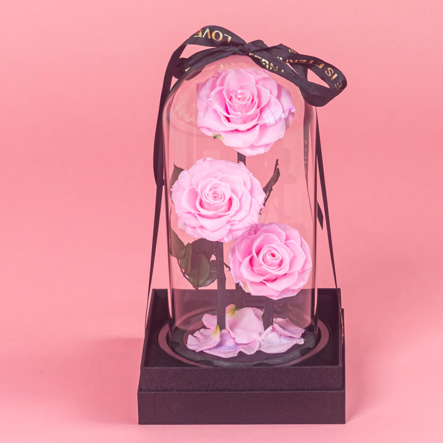 Baby Pink Infinity Rose Trio