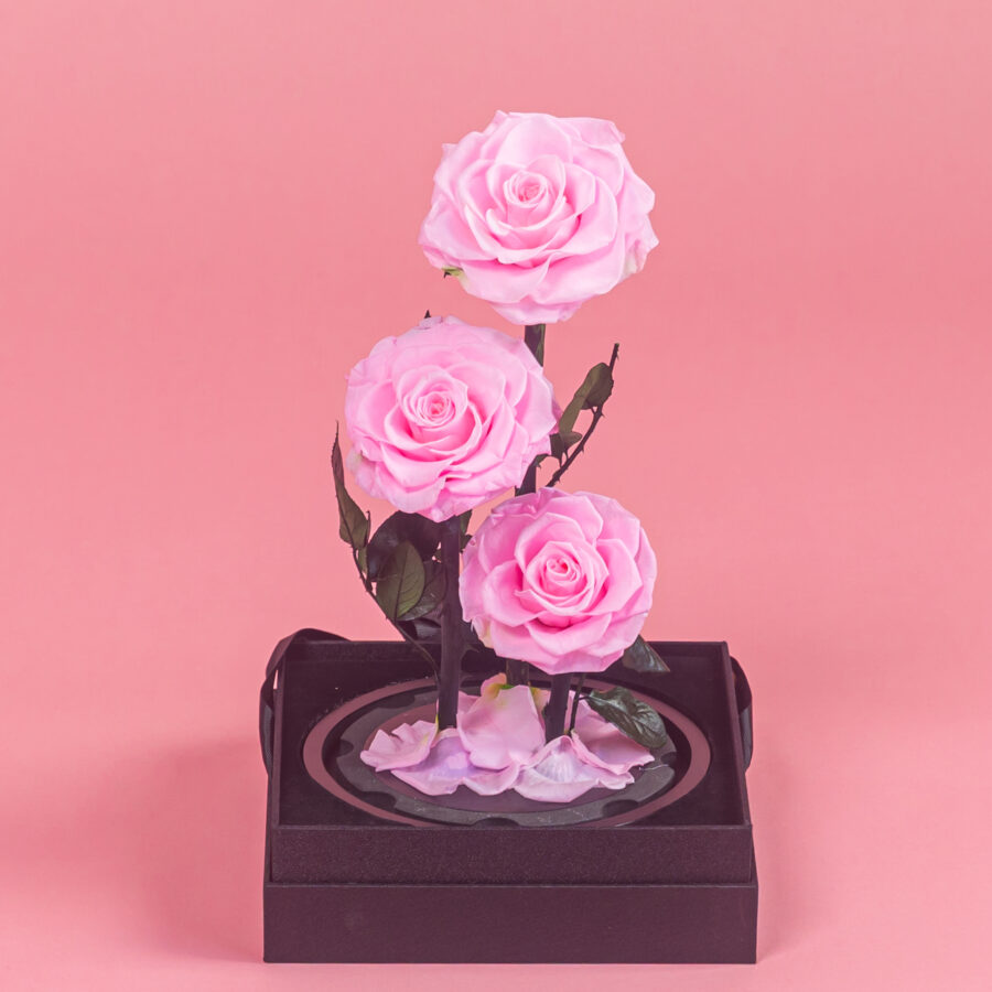 Baby Pink Infinity Rose Trio