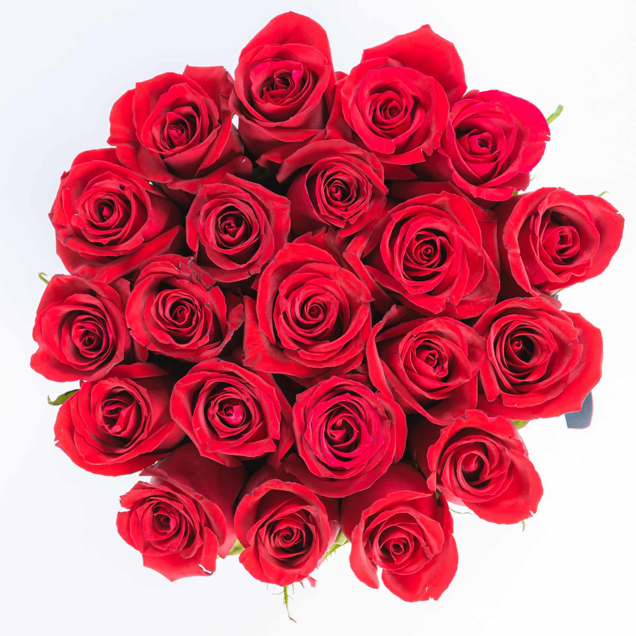 Gorgeous Red Rose Box - The Gorgeous Flower Company