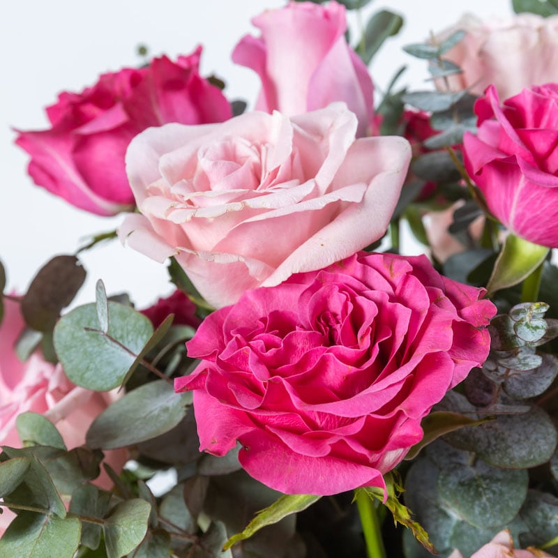 Rose Bay - The Gorgeous Flower Company