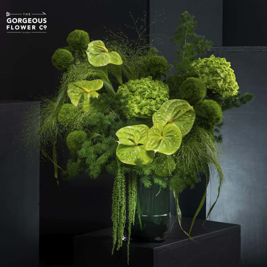 Enchanted Emerald | Renewal