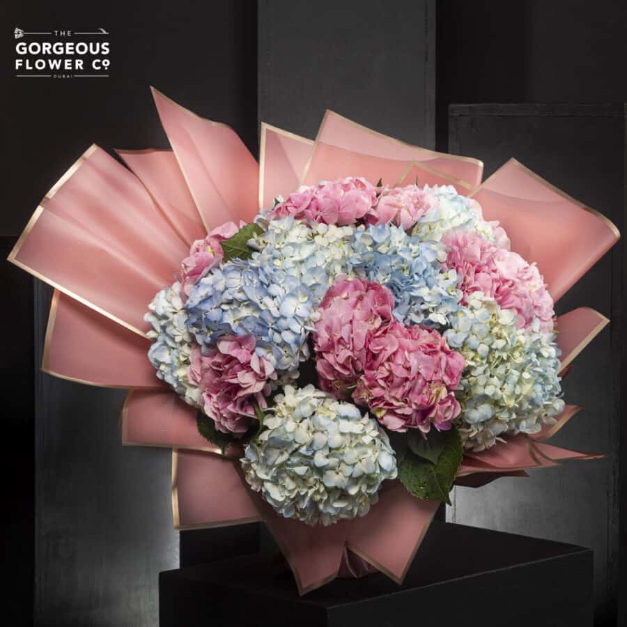 Pastel Treasure | Harmony - Gorgeous