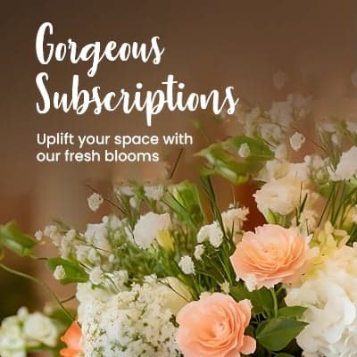 gorgeous subscription