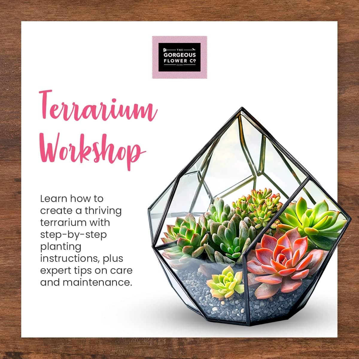 terrarium workshop