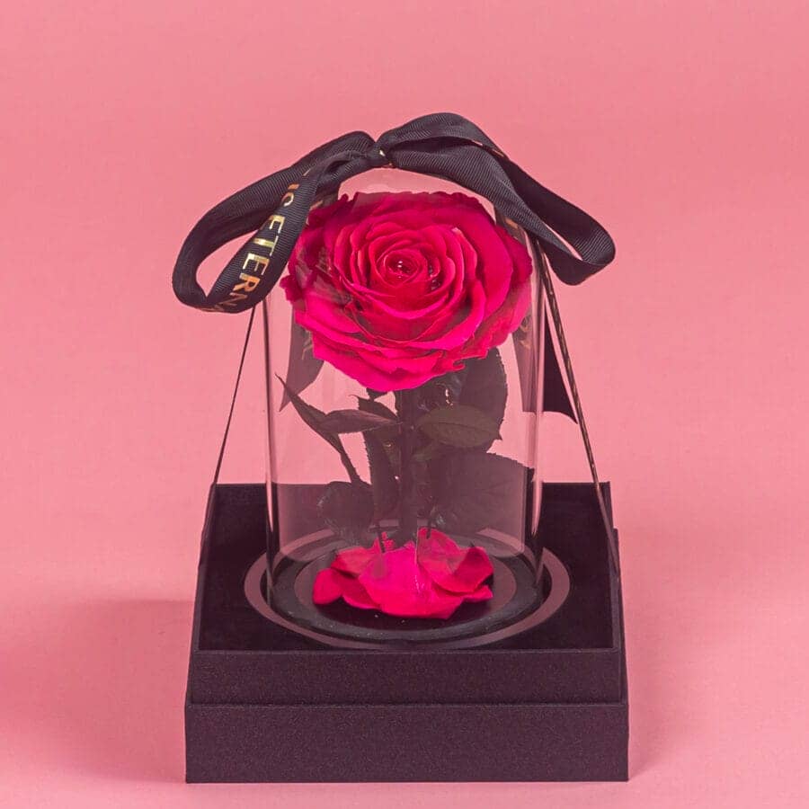 Dark Pink Infinity Single Rose